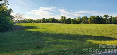 1060 acres more or less, Alexander County, NC, self sustaining - photo 22