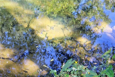 Located just 16 miles southeast of Huntsville, this 270-acre - photo 24