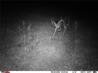Located just 16 miles southeast of Huntsville, this 270-acre - photo 27