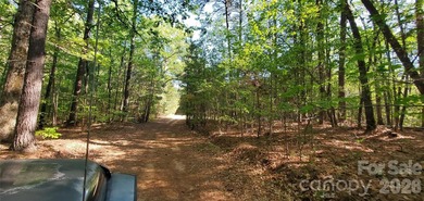 1060 acres more or less, Alexander County, NC, self sustaining - photo 30