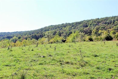 Located just 16 miles southeast of Huntsville, this 270-acre - photo 31
