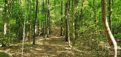 1060 acres more or less, Alexander County, NC, self sustaining - photo 33
