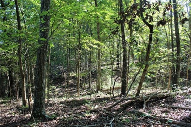Located just 16 miles southeast of Huntsville, this 270-acre - photo 35