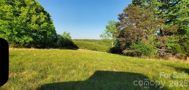 1060 acres more or less, Alexander County, NC, self sustaining - photo 36