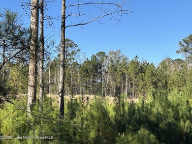 Bring your own PLAN or customize ours and enjoy lake living at - photo 6