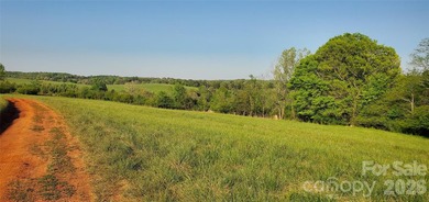 1060 acres more or less, Alexander County, NC, self sustaining - photo 37