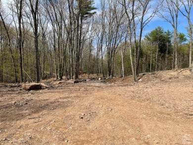 Paradise Lake Lot For Sale in Catskill New York