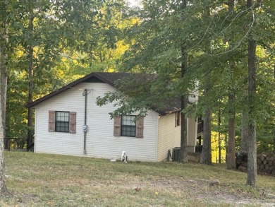 OPEN to your offer!  EZ Slope to dock; Great View YEAR ROUND! - photo 6