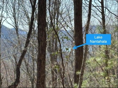 (private lake, pond, creek) Lot For Sale in Nantahala North Carolina