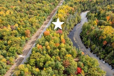 (private lake, pond, creek) Acreage For Sale in Clearwater Twp Michigan