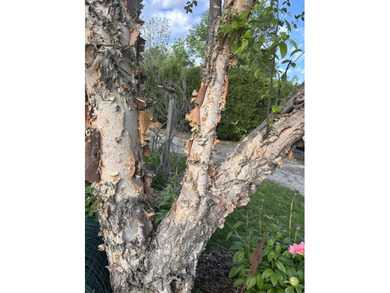 1578 County Rd 2350 E # Y - photo 17
