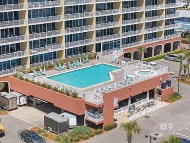 Enjoy stunning views of the Gulf of Mexico and Little Lagoon - photo 31