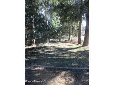 Coeur d Alene Lake Lot For Sale in Coeur d Alene Idaho