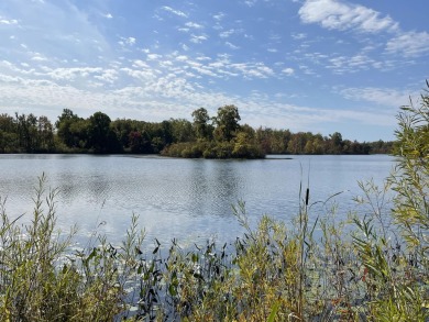 Lake Lot For Sale in Grand Junction, Michigan