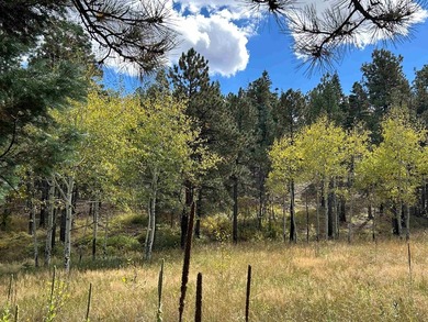 Discover the fire-wise beauty and privacy of this extraordinary - photo 36