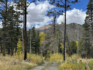 Discover the fire-wise beauty and privacy of this extraordinary - photo 37