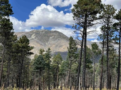 Discover the fire-wise beauty and privacy of this extraordinary - photo 38