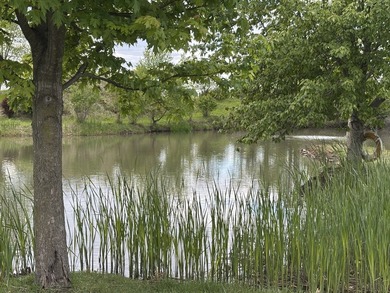 1578 County Rd 2350 E # Y - photo 40