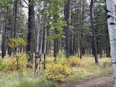 Discover the fire-wise beauty and privacy of this extraordinary - photo 40