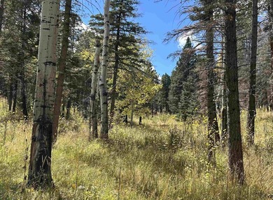 Discover the fire-wise beauty and privacy of this extraordinary - photo 41