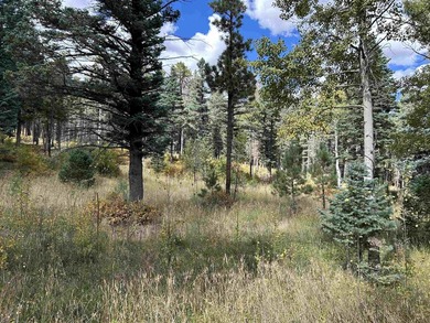 Discover the fire-wise beauty and privacy of this extraordinary - photo 42