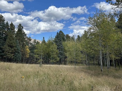 Discover the fire-wise beauty and privacy of this extraordinary - photo 43
