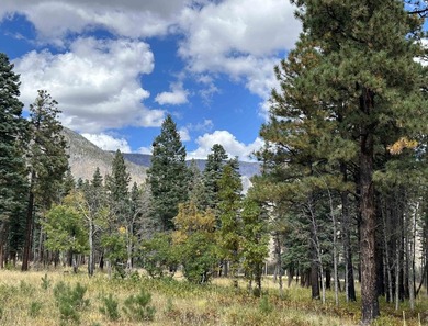 Discover the fire-wise beauty and privacy of this extraordinary - photo 44