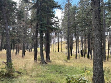 Discover the fire-wise beauty and privacy of this extraordinary - photo 45