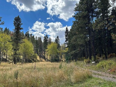 Discover the fire-wise beauty and privacy of this extraordinary - photo 47
