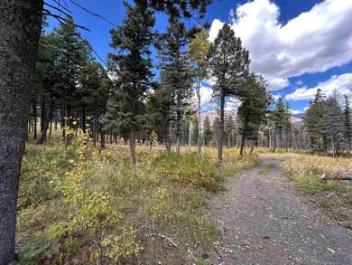 Discover the fire-wise beauty and privacy of this extraordinary - photo 50