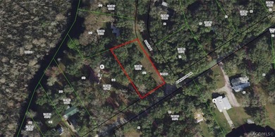 Tsala Apopka Chain of Lakes Lot For Sale in Floral City Florida