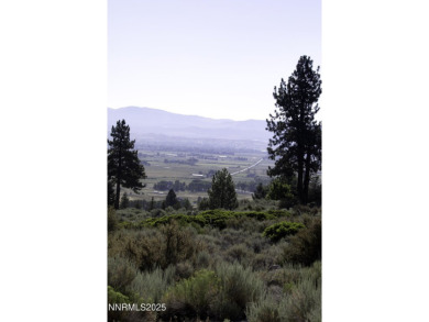 Lake Tahoe - Douglas County Acreage For Sale in Gardnerville Nevada