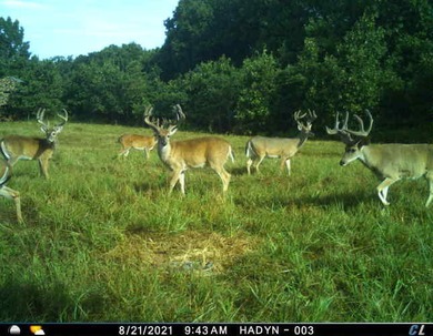 Grand Lake O the Cherokees Home For Sale in Jay Oklahoma