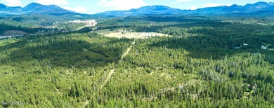 Take a look at this 300 + acres in beautiful North Idaho! Easy - photo 3