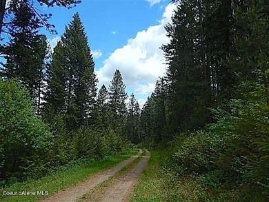 Take a look at this 300 + acres in beautiful North Idaho! Easy - photo 4