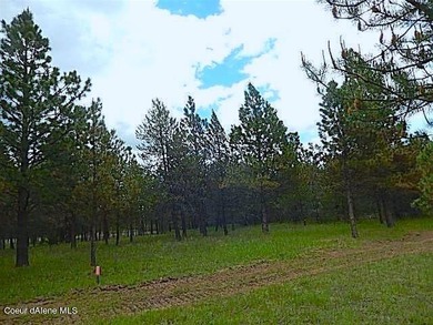 Take a look at this 300 + acres in beautiful North Idaho! Easy - photo 5