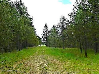 Take a look at this 300 + acres in beautiful North Idaho! Easy - photo 6