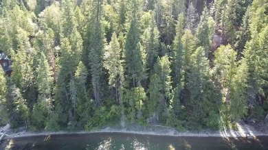 Lake Acreage ActiveUnderContr in Bigfork, Montana