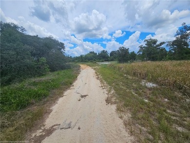 WOW!!! OVER A HALF ACRE THAT APPEARS TO BE HIGH AND DRY!! - photo 11