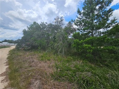 WOW!!! OVER A HALF ACRE THAT APPEARS TO BE HIGH AND DRY!! - photo 12
