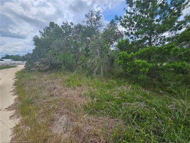 WOW!!! OVER A HALF ACRE THAT APPEARS TO BE HIGH AND DRY!! - photo 13