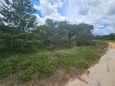 WOW!!! OVER A HALF ACRE THAT APPEARS TO BE HIGH AND DRY!! - photo 14