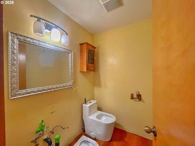 Could this be the financeable, light-fixer of your dreams? - photo 19