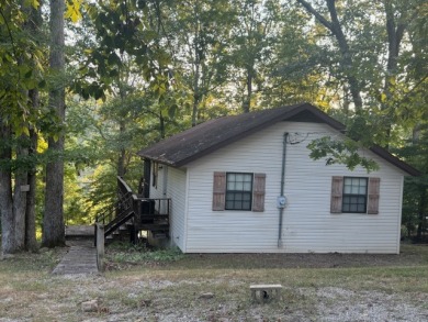OPEN to your offer!  EZ Slope to dock; Great View YEAR ROUND! - photo 7