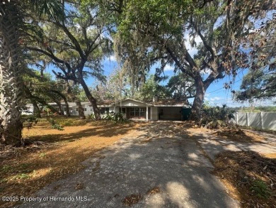 Lake Home For Sale in Ridge Manor, Florida