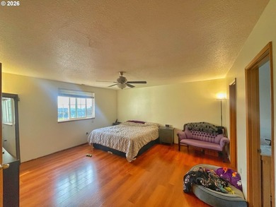 Could this be the financeable, light-fixer of your dreams? - photo 39
