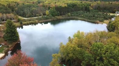Lake Lot For Sale in Stanwood, Michigan