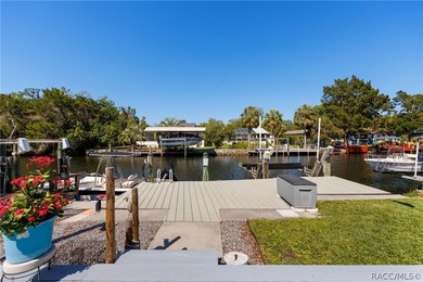Bring your boat and start enjoying all this move-in-ready - photo 1
