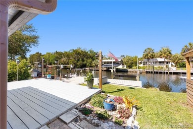 Bring your boat and start enjoying all this move-in-ready - photo 4