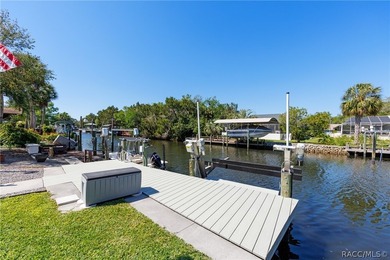Bring your boat and start enjoying all this move-in-ready - photo 5